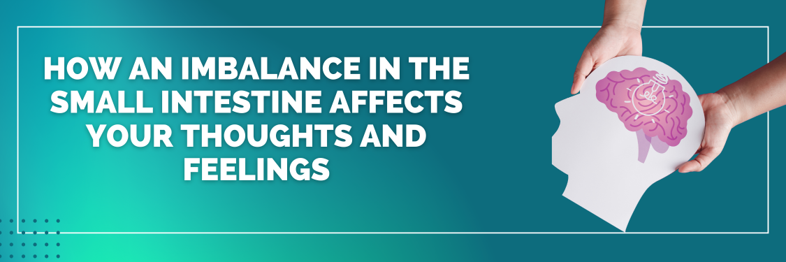How an Imbalance in the Small Intestine Affects Your Thoughts and Feelings How an Imbalance in the Small Intestine Affects Your Thoughts and Feelings