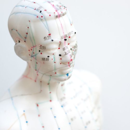 acupuncture meridian mannequin